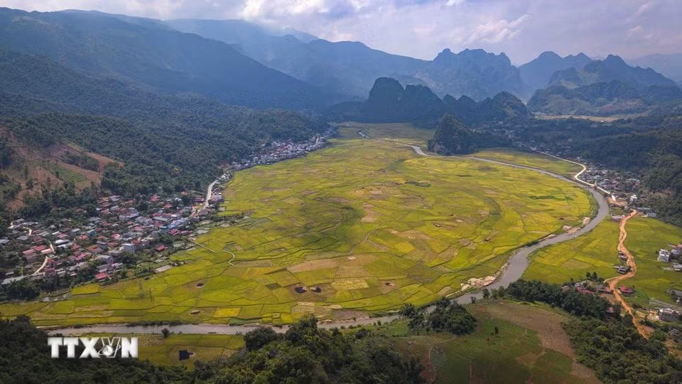 Vào mùa lúa chín, xã Chiềng Sinh (Điện Biên) khoác lên mình vẻ đẹp trù phú, hùng vĩ của vùng thung lũng miền núi Tây Bắc. (Ảnh: Xuân Tư/TTXVN)