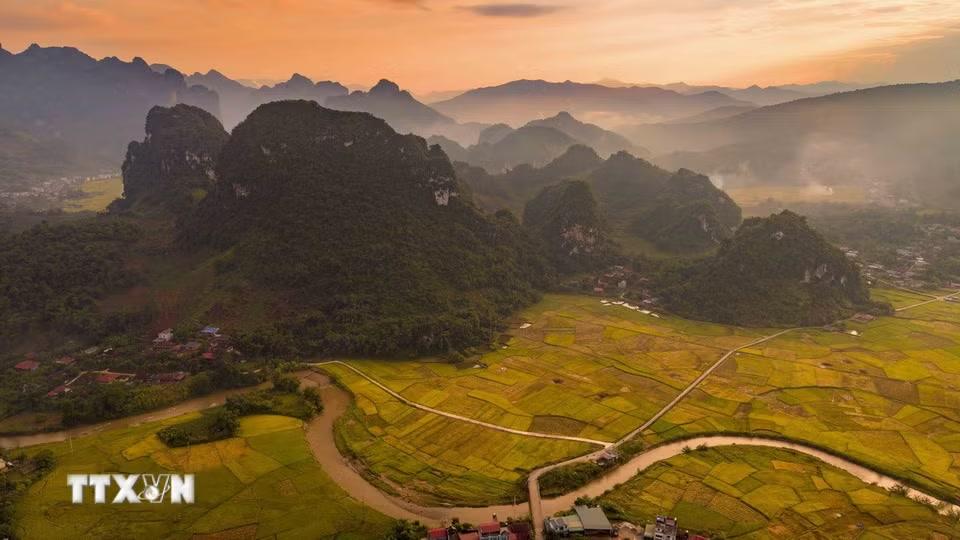 Sắc vàng của lúa chín phủ rộng trên những cánh đồng nằm giữa các dãy núi, tạo nên vẻ đẹp đặc trưng của thung lũng Chiềng Sinh. (Ảnh: Xuân Tư/TTXVN)