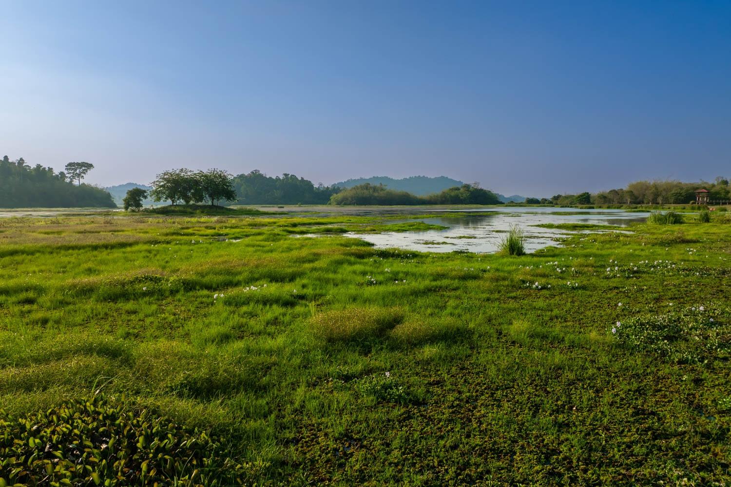 Khu Ramsar Bàu Sấu rộng 13.759 ha tại VQG Cát Tiên được ghi nhận với hệ sinh thái đất ngập nước đa dạng.