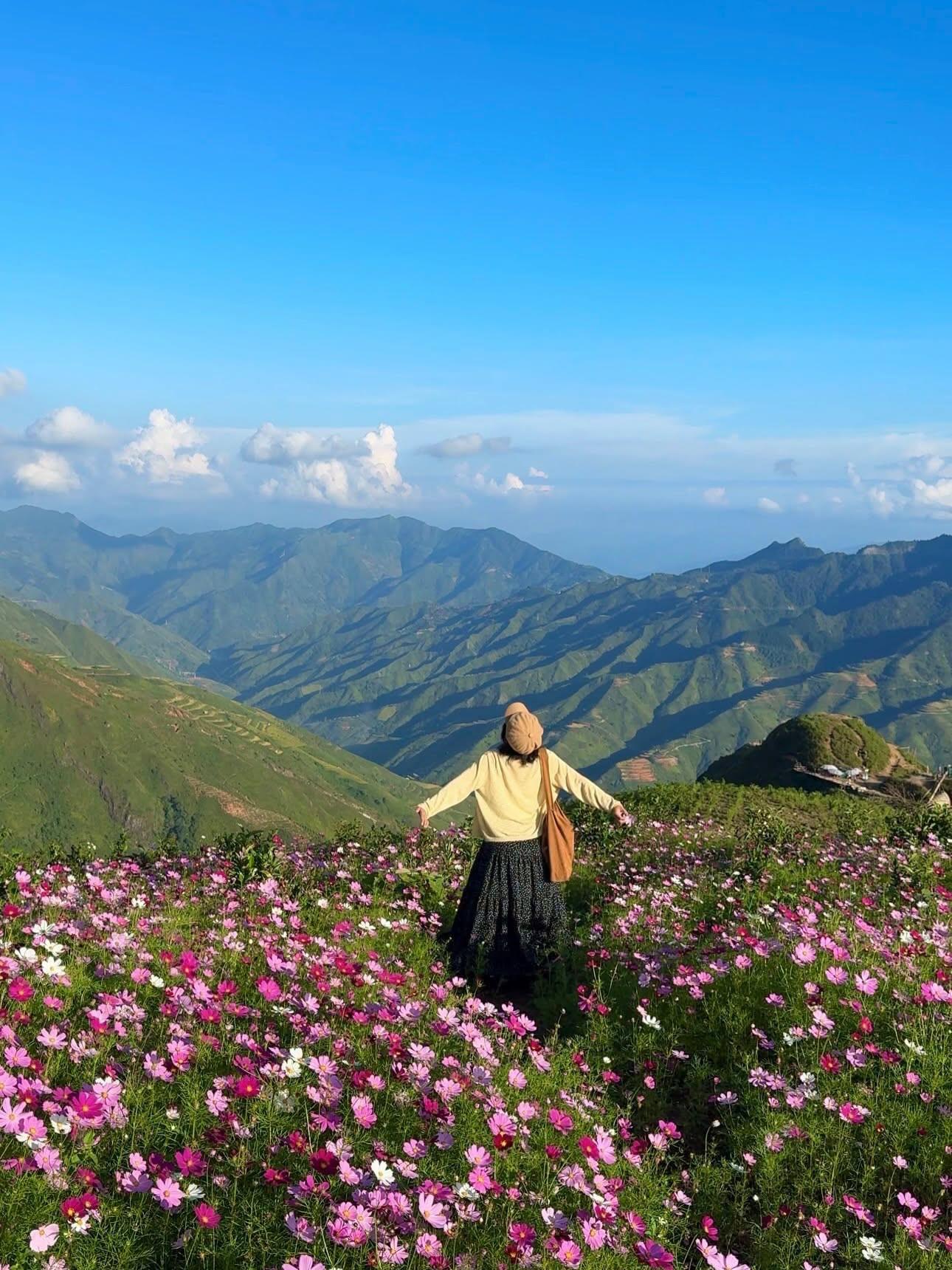 Giữa thảm hoa rực rỡ, du khách như bước vào một khu vườn cổ tích bên sườn núi. Ảnh: Linh Xinh