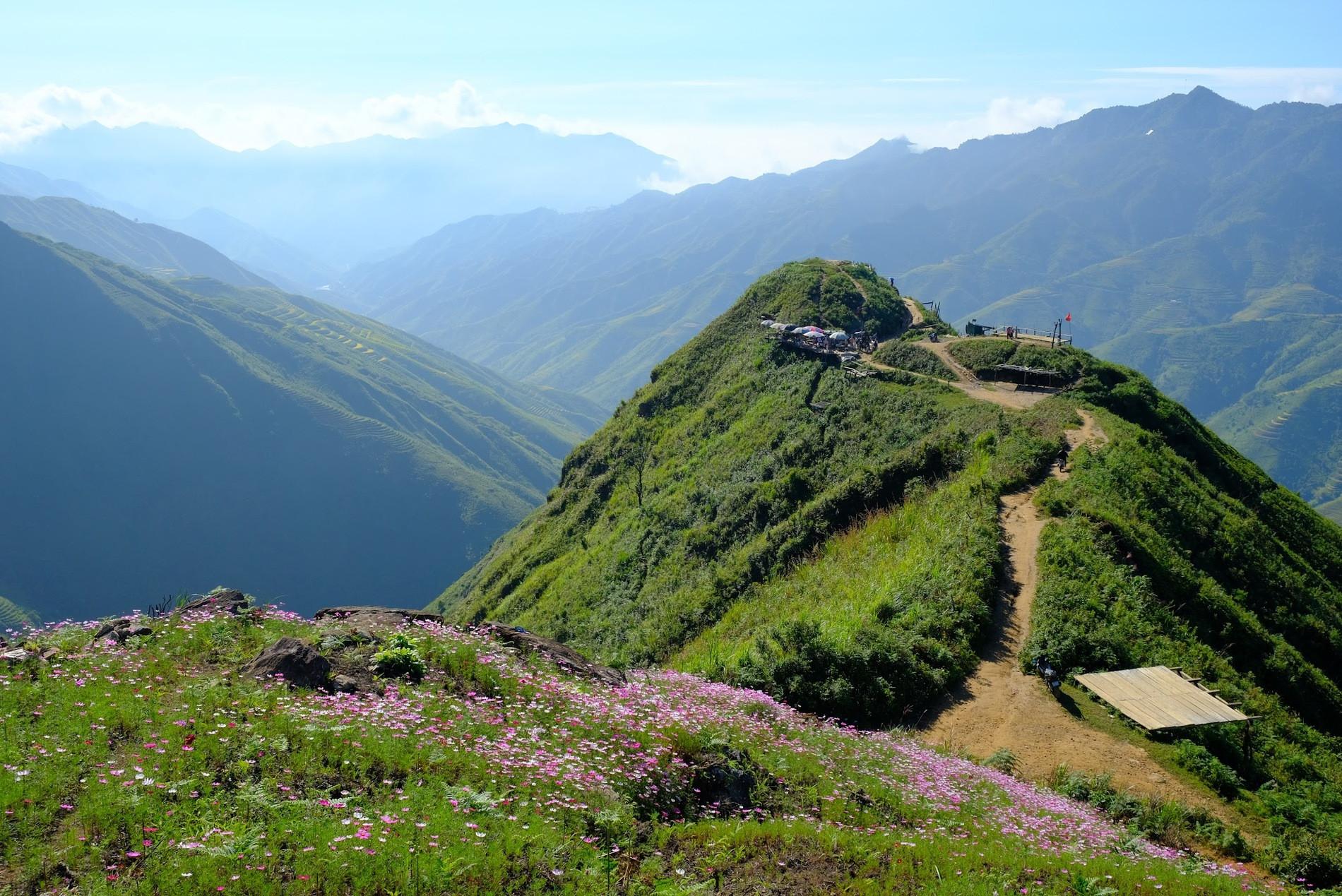 Những cánh hoa mỏng manh tô điểm cho cảnh quan hùng vĩ bên “sống lưng khủng long”. Ảnh: Trọng Thịnh
