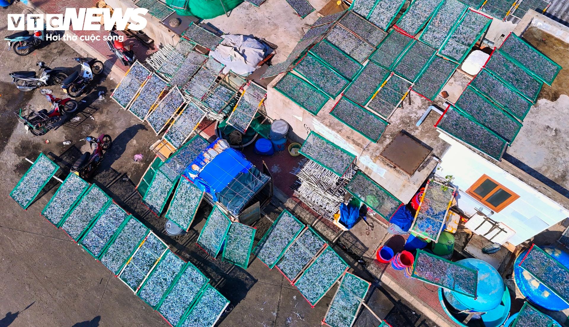 Lượng cá cơm còn lại sẽ được người dân làng chài tranh thủ đem phơi tại các khoảng sân trống, trên mái nhà để làm cá cơm khô.