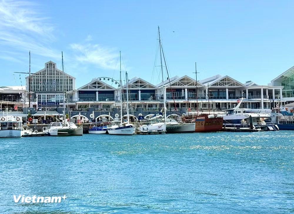 Bến cảng V&A Waterfront hiện lên như một bức tranh sống động, nơi sự sầm uất của nhịp sống đô thị hòa quyện tuyệt đẹp với vẻ kỳ vĩ của thiên nhiên. (Ảnh: Đặng Huyền/Vietnam+)