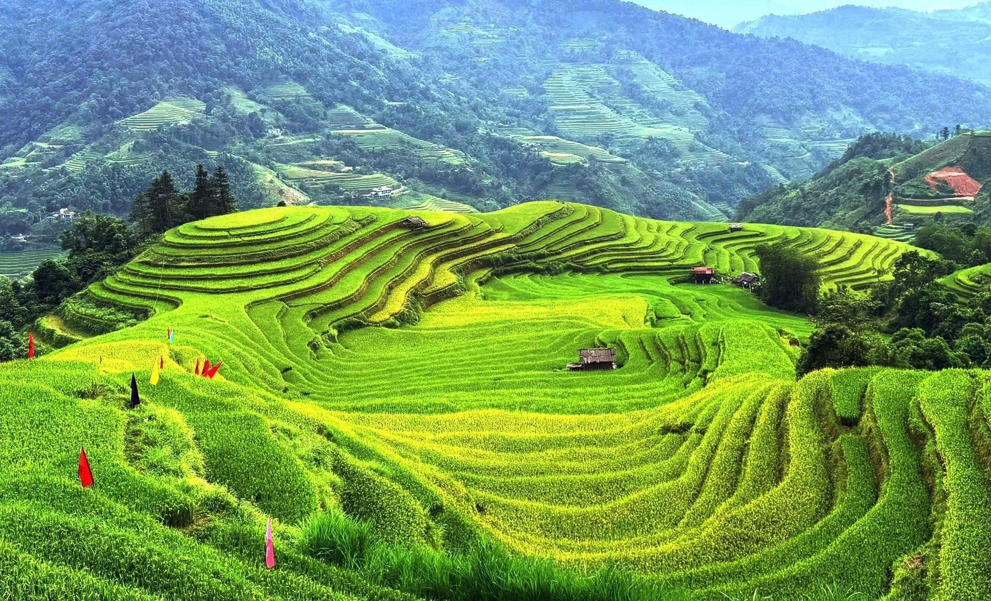 Sắc lúa vàng xanh đan xen, dệt nên bức tranh thu nơi miền núi.