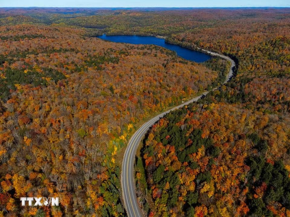 Cảnh đẹp mùa Thu ở Ontario, Canada. (Ảnh: THX/TTXVN phát)