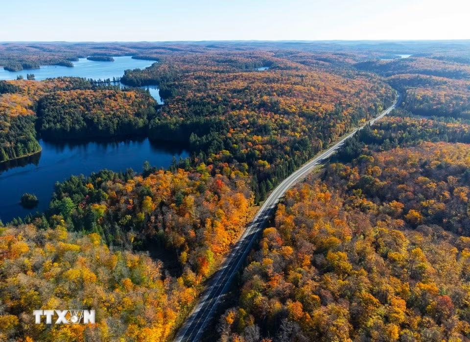 Cảnh đẹp mùa Thu ở Ontario, Canada. (Ảnh: THX/TTXVN phát)
