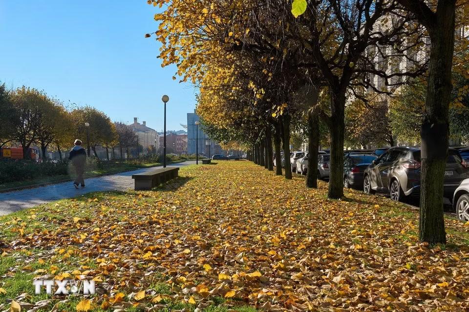 Cảnh đẹp mùa Thu tại St. Petersburg, Nga, ngày 14/10/2026. (Ảnh: THX/TTXVN phát)