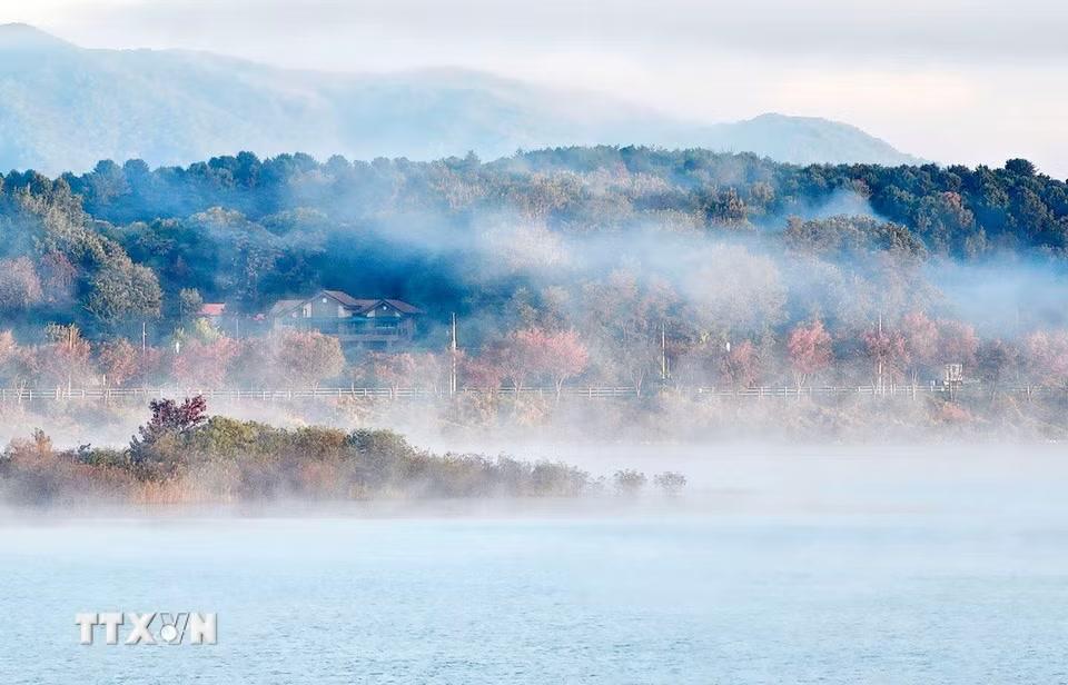 Cảnh đẹp mùa Thu ở tỉnh Gangwon, Hàn Quốc. (Ảnh: YONHAP/TTXVN phát)
