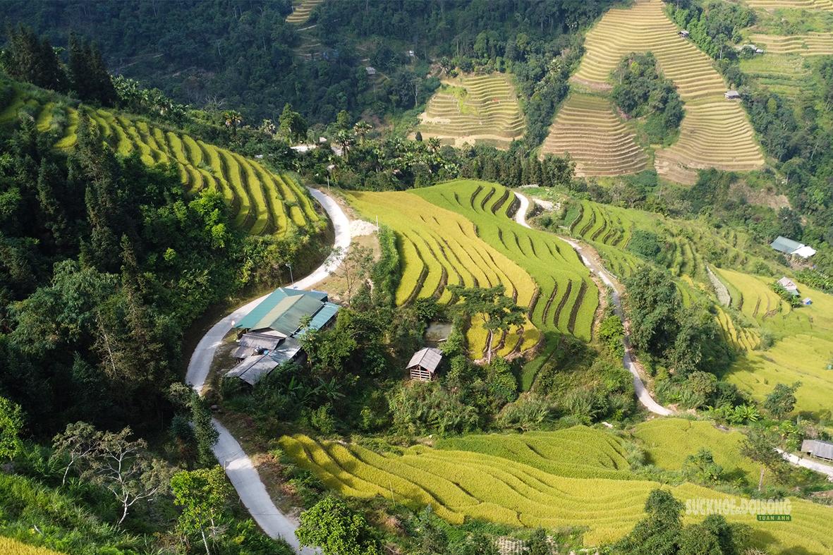 Những con đường nhỏ len giữa các thửa ruộng bậc thang. Ảnh: Tuấn Anh