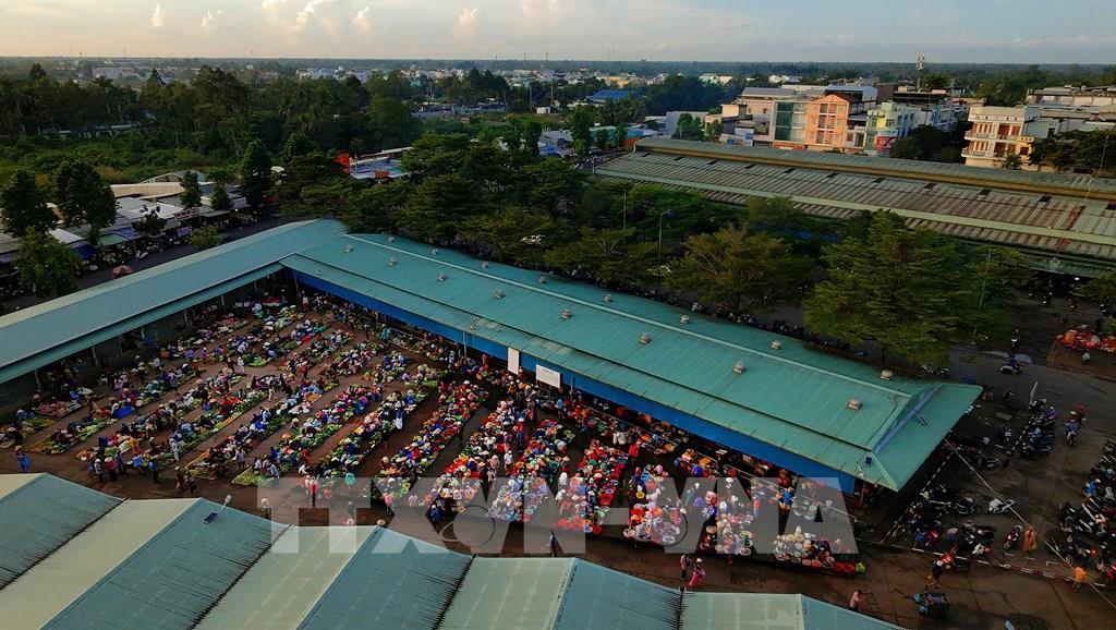 Giữa nhịp sống đô thị ngày càng hối hả, chợ “chồm hổm” Vị Thanh vẫn mang trong mình nét mộc mạc, bình dị của một phiên chợ quê miền Tây Nam Bộ. Ảnh: Duy Khương – TTXVN