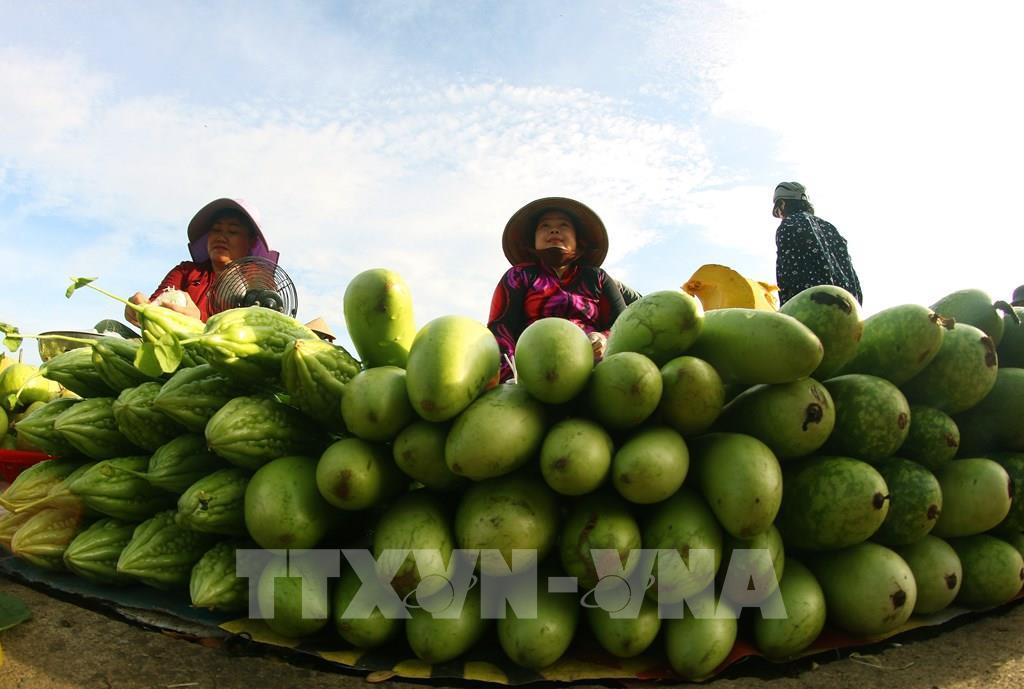 Việc tiêu thụ nông sản thông qua các điểm bán dân dã tạo thêm cơ hội đưa sản phẩm đến tay người tiêu dùng, đồng thời giúp người dân tận dụng nguồn lực sẵn có từ vườn nhà. Ảnh: Duy Khương – TTXVN