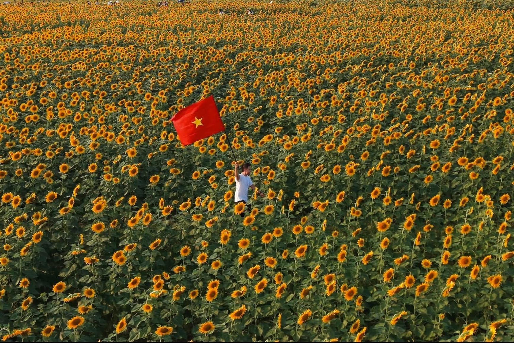 Cách Hà Nội 250 km và trung tâm TP Vinh (cũ) 90-100 km, du khách có thể di chuyển bằng xe khách hoặc ô tô, xe máy theo hướng Vinh - đường Hồ Chí Minh - Nghĩa Đàn để đến tham quan cánh đồng. Đường đi khá thuận tiện, dễ tìm. Hiện khu vực này chưa phát triển dịch vụ ăn uống hay lưu trú, du khách nên tìm chỗ nghỉ tại trung tâm TP Vinh (cũ) hoặc thị xã Thái Hòa (cũ), sau đó di chuyển đến đây vui chơi trong ngày. Ảnh: Quang Kiên. 