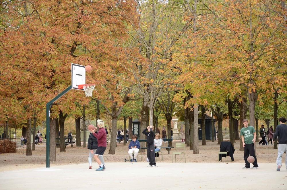 Thanh thiếu niên chơi bóng rổ dưới những tán cây chuyển màu vàng trong Vườn hoa Luxembourg ở thủ đô Paris (Pháp)