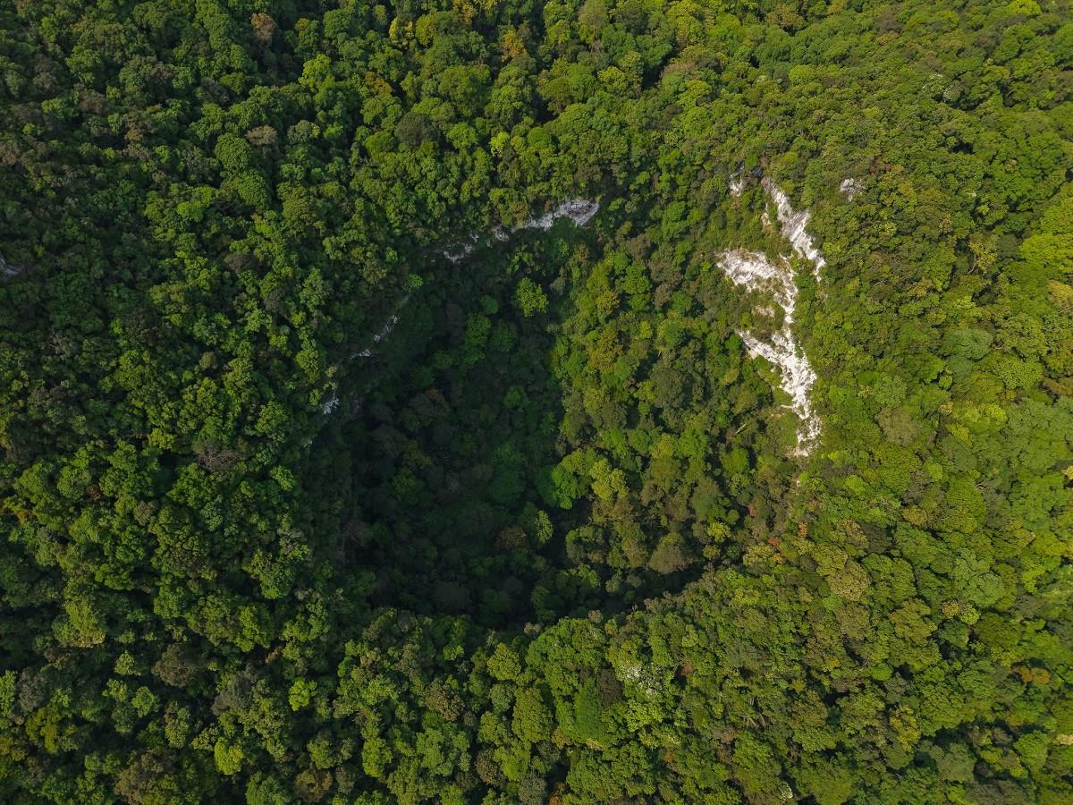 Hố sụt quy mô lớn vừa được phát hiện tại khu vực Chà Nòi - Khe Gát. Ảnh: Jungle Boss