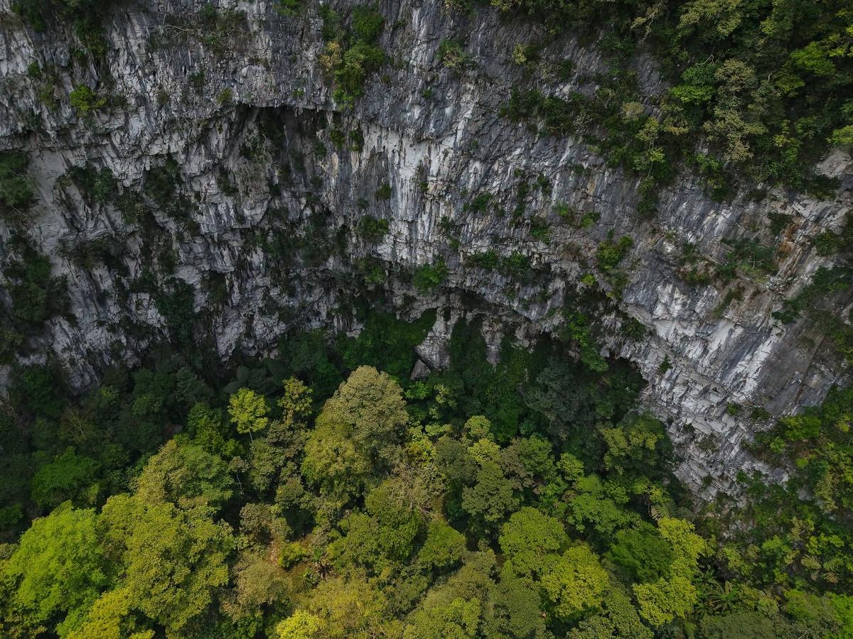 Hố sụt có chiều dài ước tính 190m, rộng 140m và sâu khoảng 120m. Ảnh: Jungle Boss