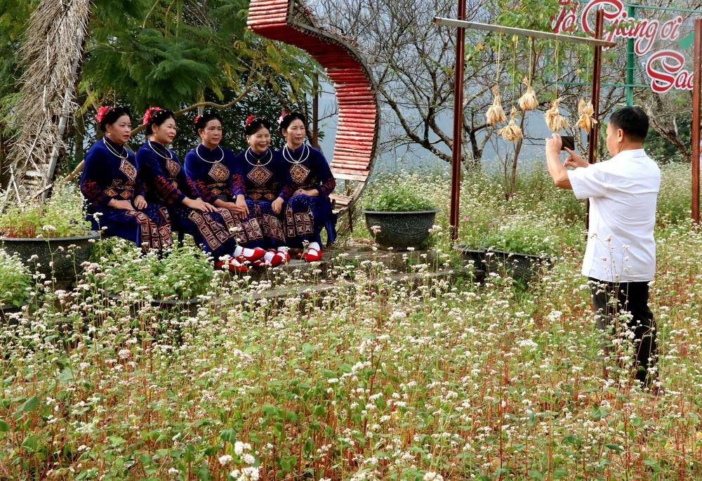 Du khách hào hứng ghi lại những khoảnh khắc đẹp, thơ mộng giữa vườn hoa tam giác mạch trên Cao nguyên đá. Ảnh: Đức Thọ - TTXVN