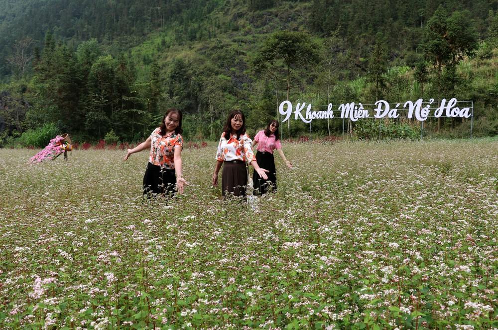 Du khách thả mình giữa thung lũng hoa tam giác mạch thơ mộng, tận hưởng vẻ đẹp bình yên của Cao nguyên đá mùa hoa nở. Ảnh: Đức Thọ - TTXVN