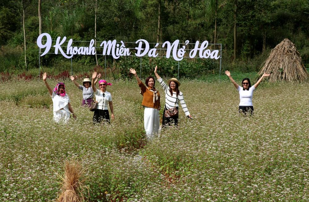 Du khách thả mình giữa thung lũng hoa tam giác mạch thơ mộng, tận hưởng vẻ đẹp bình yên của Cao nguyên đá mùa hoa nở. Ảnh: Đức Thọ - TTXVN