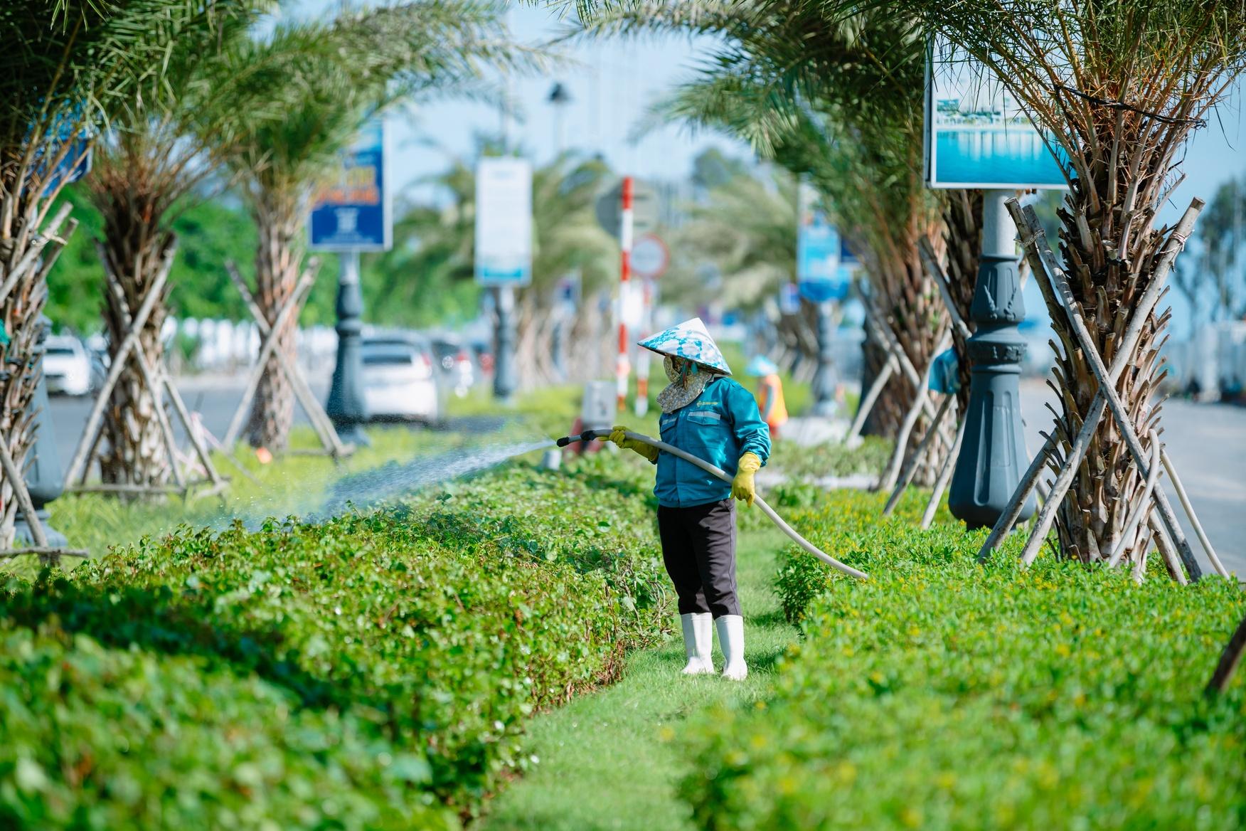 Không chỉ đẩy nhanh tiến độ hoàn thiện nhà ở, Blanca City cũng song song dồn lực chỉnh trang cảnh quan, chăm sóc hệ thống cây xanh dọc các tuyến đường nội khu và thi công các đại công viên. Như vậy, khi cư dân nhận nhà sẽ nhận về luôn hệ sinh thái môi trường xanh sức sống thay vì đợi xây nhà xong mới trồng cây. Ảnh: Ánh Dương.