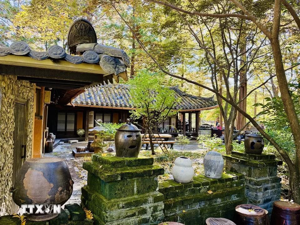 Khung cảnh sân vườn nhà truyền thống Hàn Quốc giữa khung cảnh mùa thu trên đảo Nami. (Ảnh: Nhật Hưng/TTXVN)