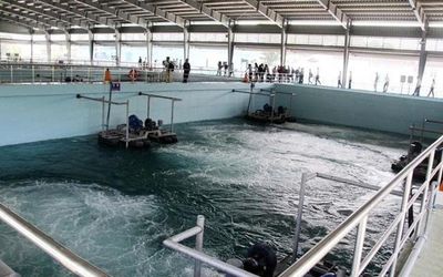 BIWASE ra mắt 5 công ty con, tái cấu trúc hệ thống cấp nước hiện đại và chuyên nghiệp