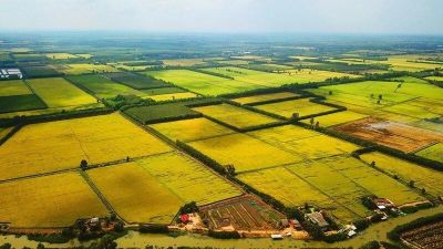 Sửa Luật Đất đai: Hết thời đầu cơ, gom đất để đón đền bù?