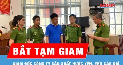 Bắt giám đốc công ty sản xuất nước yến, yến sào giả