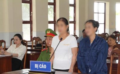 Xét xử lưu động vụ 'Tổ chức cho người khác xuất cảnh trái phép'