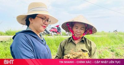 Nông dân Hà Tĩnh vào vụ thu hoạch lạc xuân