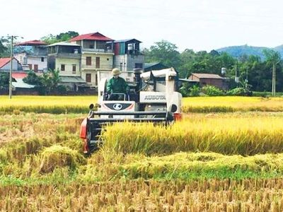 Xã Hòa An tăng tốc cơ giới hóa nông nghiệp, nông dân nhàn hơn, năng suất tăng mạnh