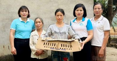 Trao sinh kế, mở hướng thoát nghèo cho phụ nữ xã Mậu A
