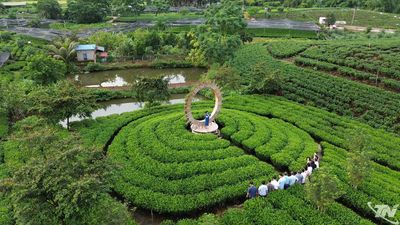 Mở rộng thị trường du lịch, hút dòng khách ngoại tỉnh