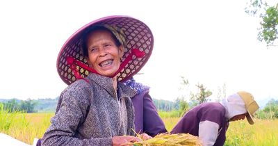 Mùa vàng no ấm nơi vùng biên giới Hướng Lập