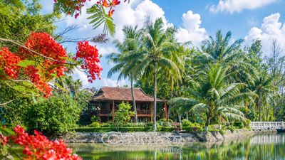'Nhớ Cha trong mùa phượng đỏ'