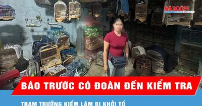 Báo trước có đoàn đến kiểm tra, trạm trưởng kiểm lâm bị khởi tố
