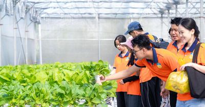 TP Hồ Chí Minh muốn 100% mẫu rau sản xuất được kiểm tra đạt tiêu chuẩn an toàn