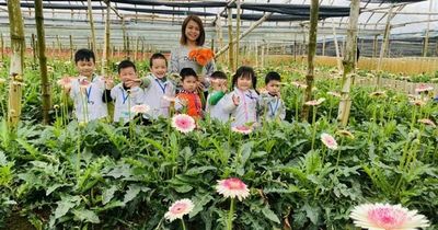 Xã Đan Phượng: Phát triển nông nghiệp sinh thái gắn với du lịch trải nghiệm