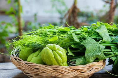 Việt Nam có loại rau dân dã được gọi là 'râu rồng', ăn nhiều cực bổ