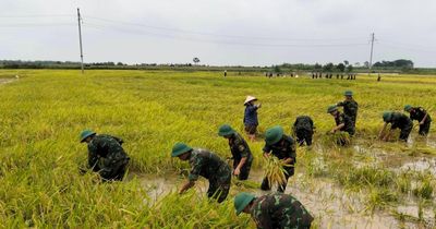 Sạt lở, ngập úng diện rộng ở Phú Thọ sau đợt mưa lớn kéo dài
