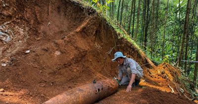 Mở đường khai thác gỗ, 'đụng' phải bom khủng