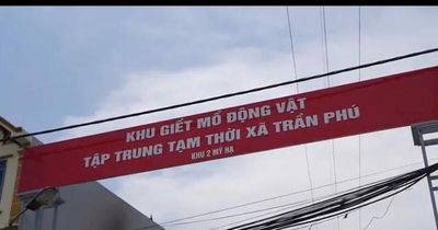 Hà Nội siết chặt xử lý chợ tạm và hoạt động giết mổ nhỏ lẻ Bài 2: Xử lý nghiêm các cơ sở giết mổ vi phạm, hướng tới chuỗi cung ứng thực phẩm an toàn