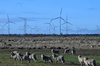 Trang trại điện gió lớn nhất Australia góp phần chuyển đổi năng lượng bền vững