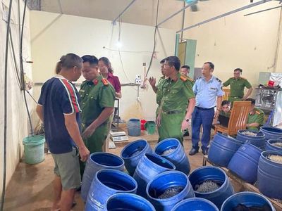 Phát hiện cơ sở sản xuất giá đỗ sử dụng chất cấm ở Hải Phòng