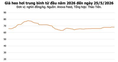 Giá heo hơi hôm nay 25/5: Thị trường đi ngang, cao nhất 70.000 đồng/kg