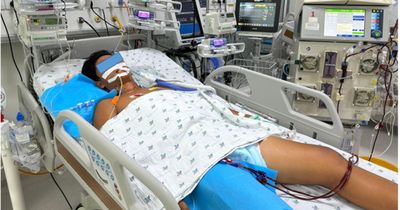 Nắng nóng, thiếu niên 15 tuổi sốc nhiệt nguy kịch, tổn thương gan, thận khi chơi thể thao