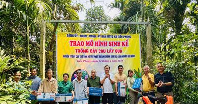Trồng cau lấy quả giúp người dân vùng biên thoát nghèo