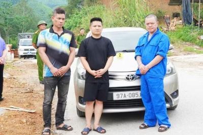 Sử dụng ôtô rượt đuổi, dùng súng bắn nhau như phim hành động