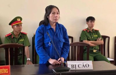 Người phụ nữ lừa góp vốn kinh doanh lĩnh 13 năm tù