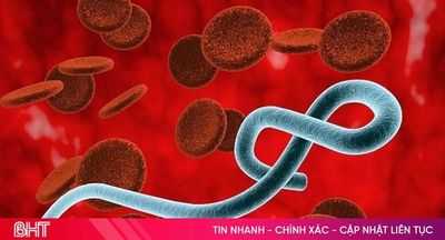 Việt Nam bổ sung thêm 6 chủng virus mới vào phác đồ điều trị bệnh Ebola