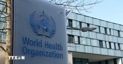 Argentina hoàn tất việc rút khỏi WHO giữa lo ngại dịch virus Hanta